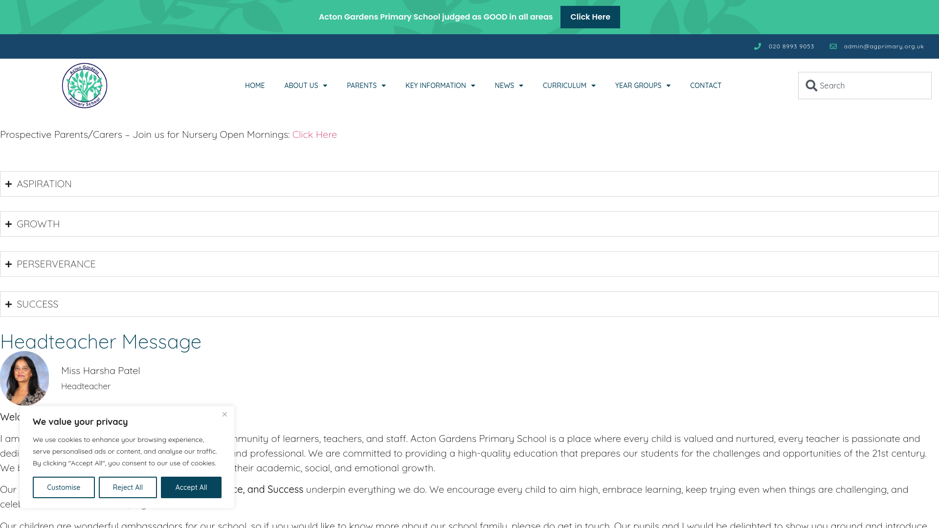 Website screenshot