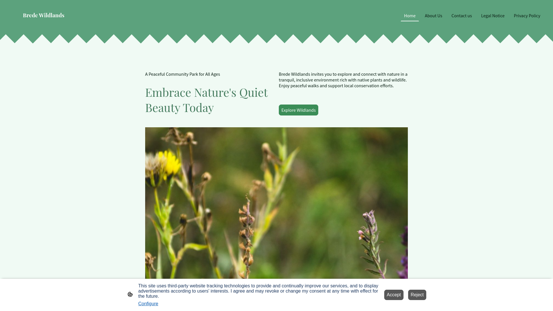 Website screenshot