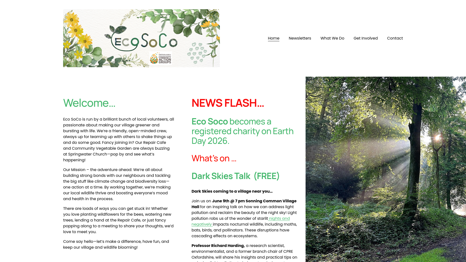 Website screenshot