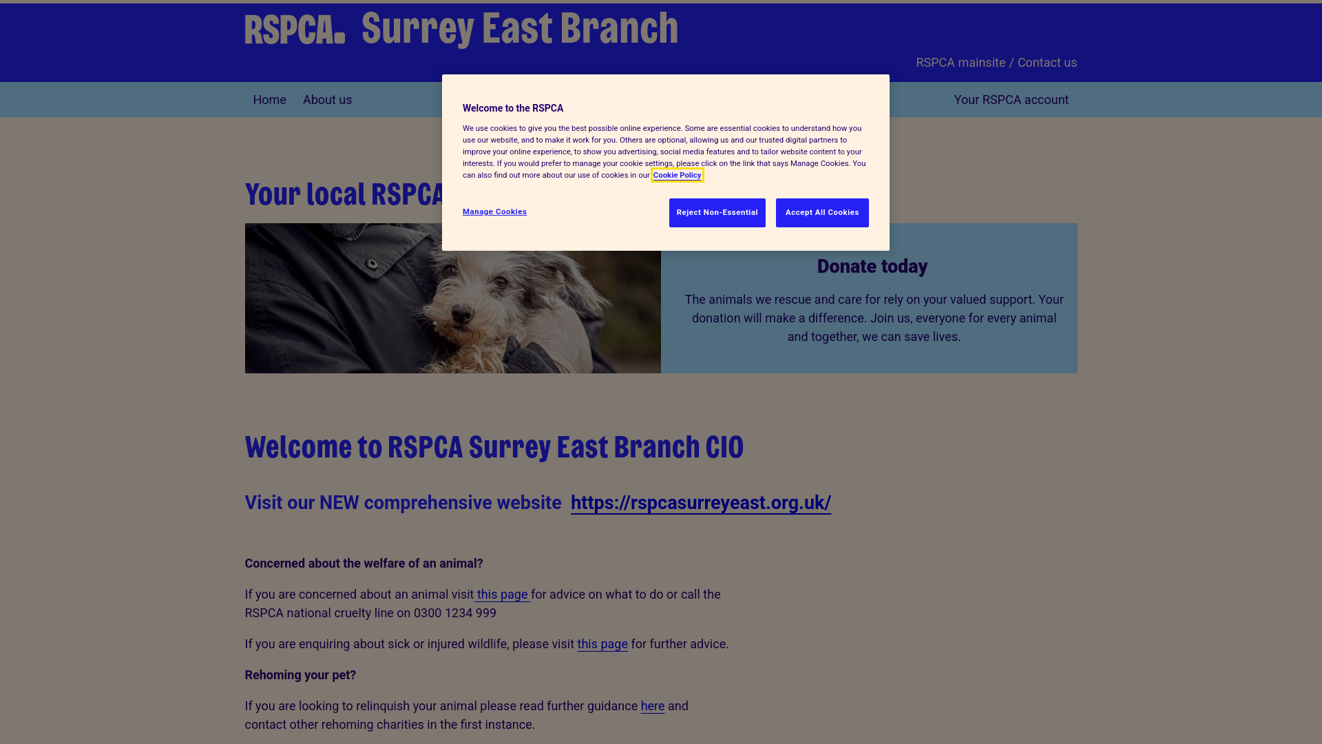Website screenshot