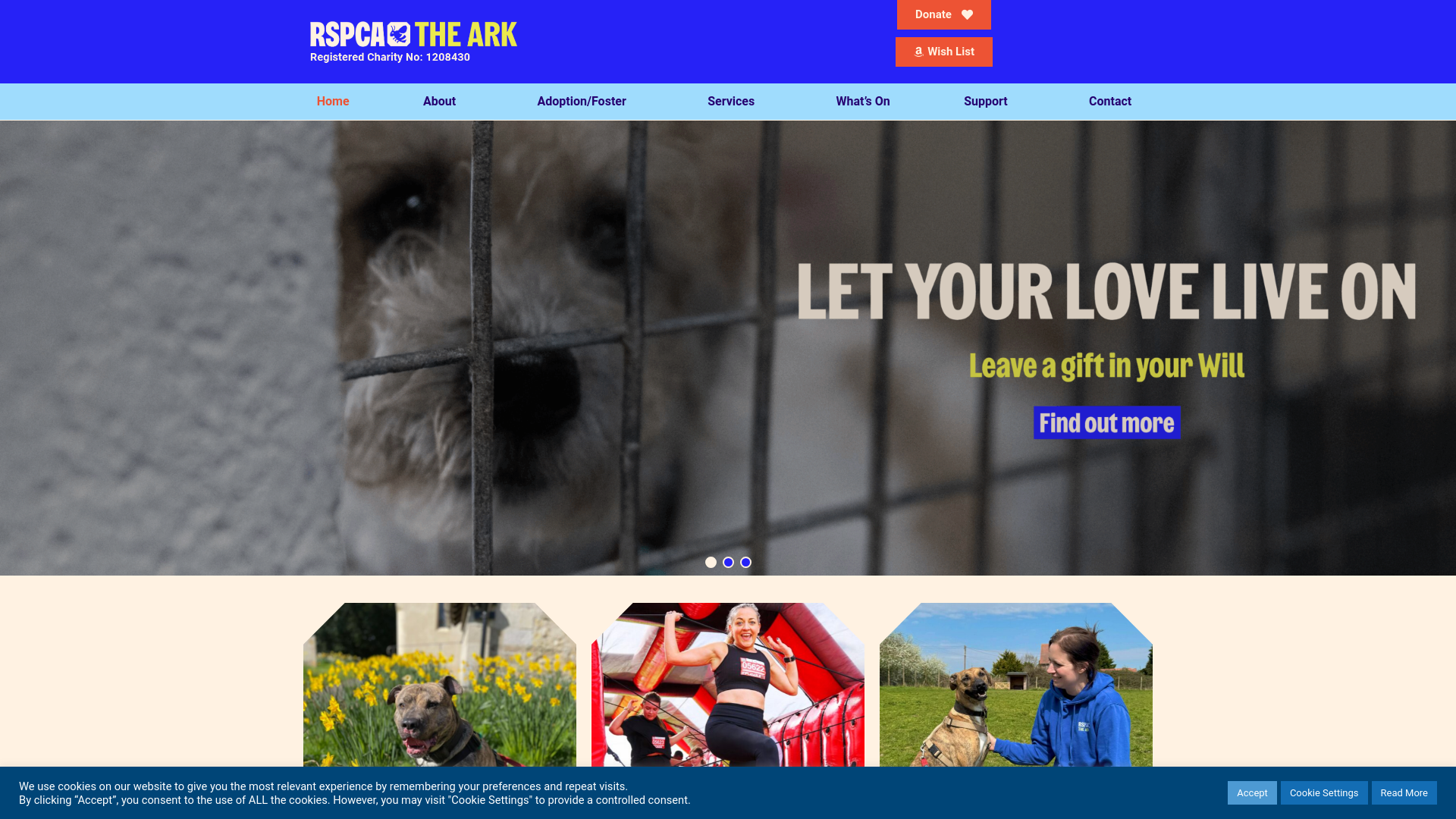 Website screenshot
