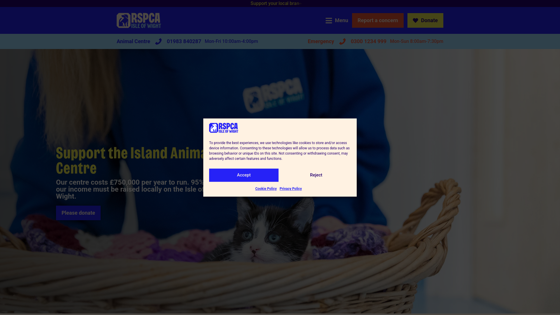 Website screenshot