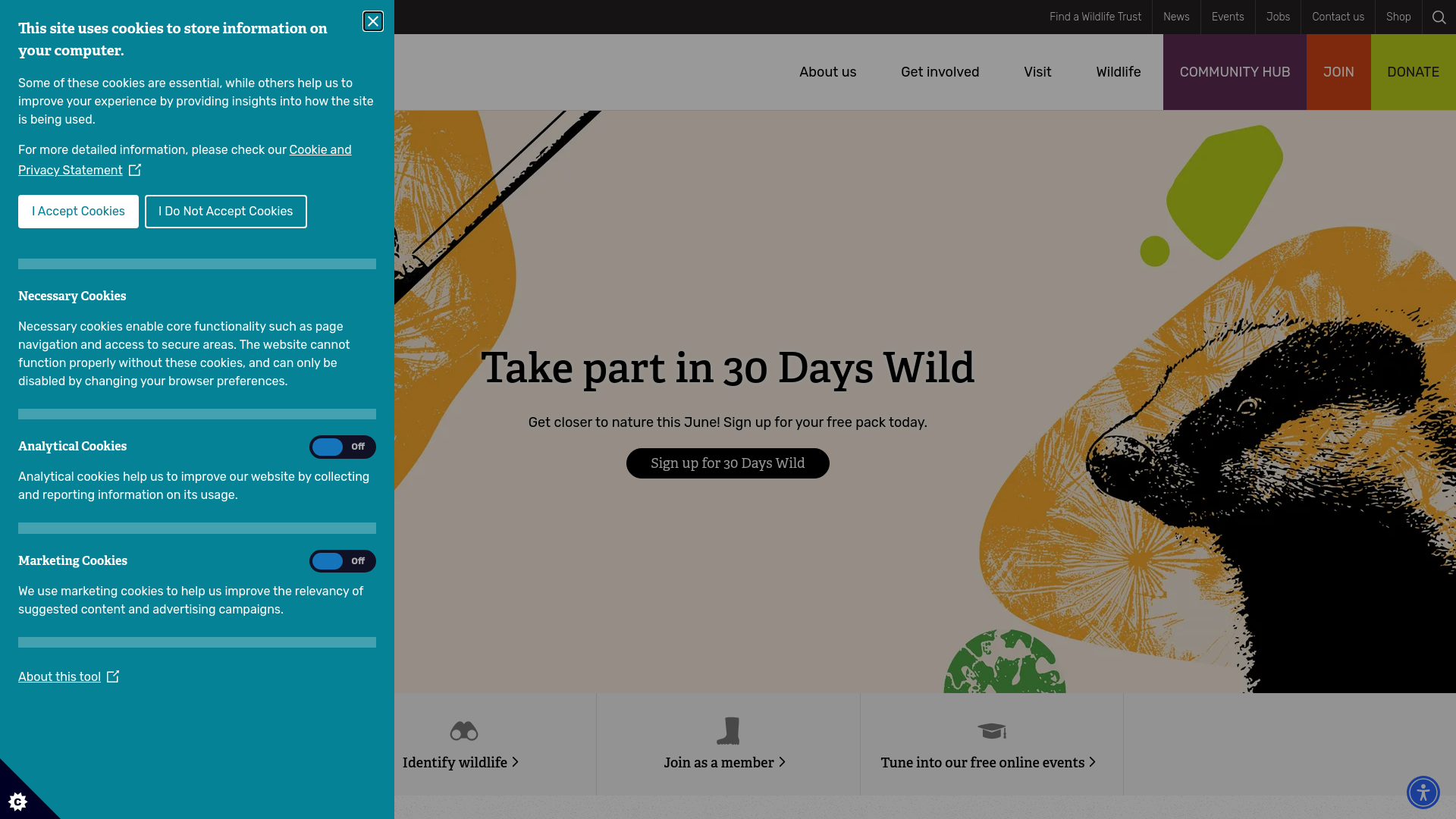 Website screenshot