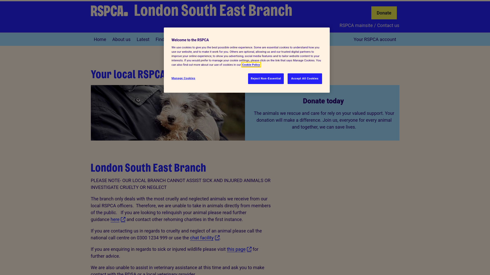 Website screenshot