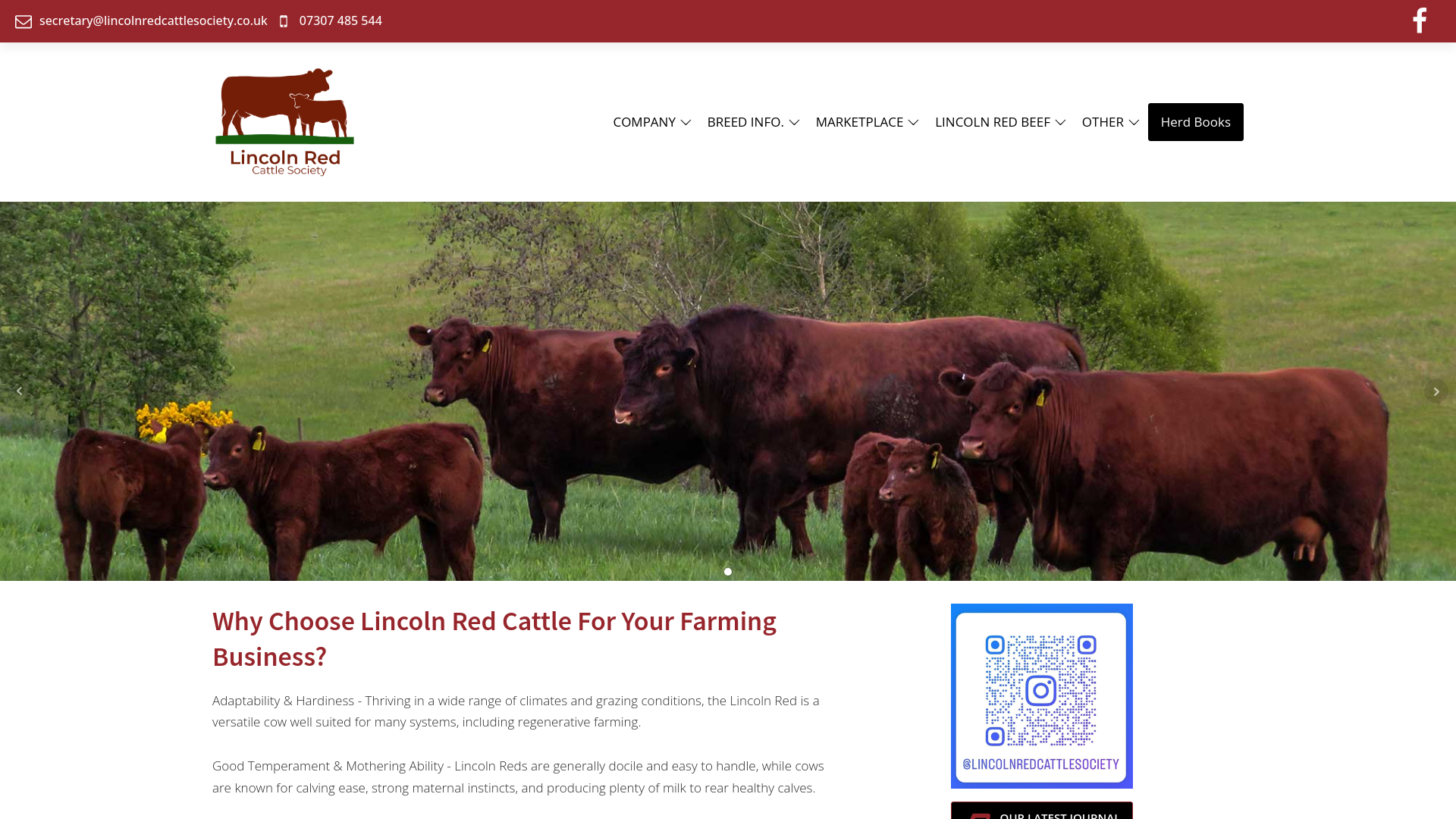 Website screenshot