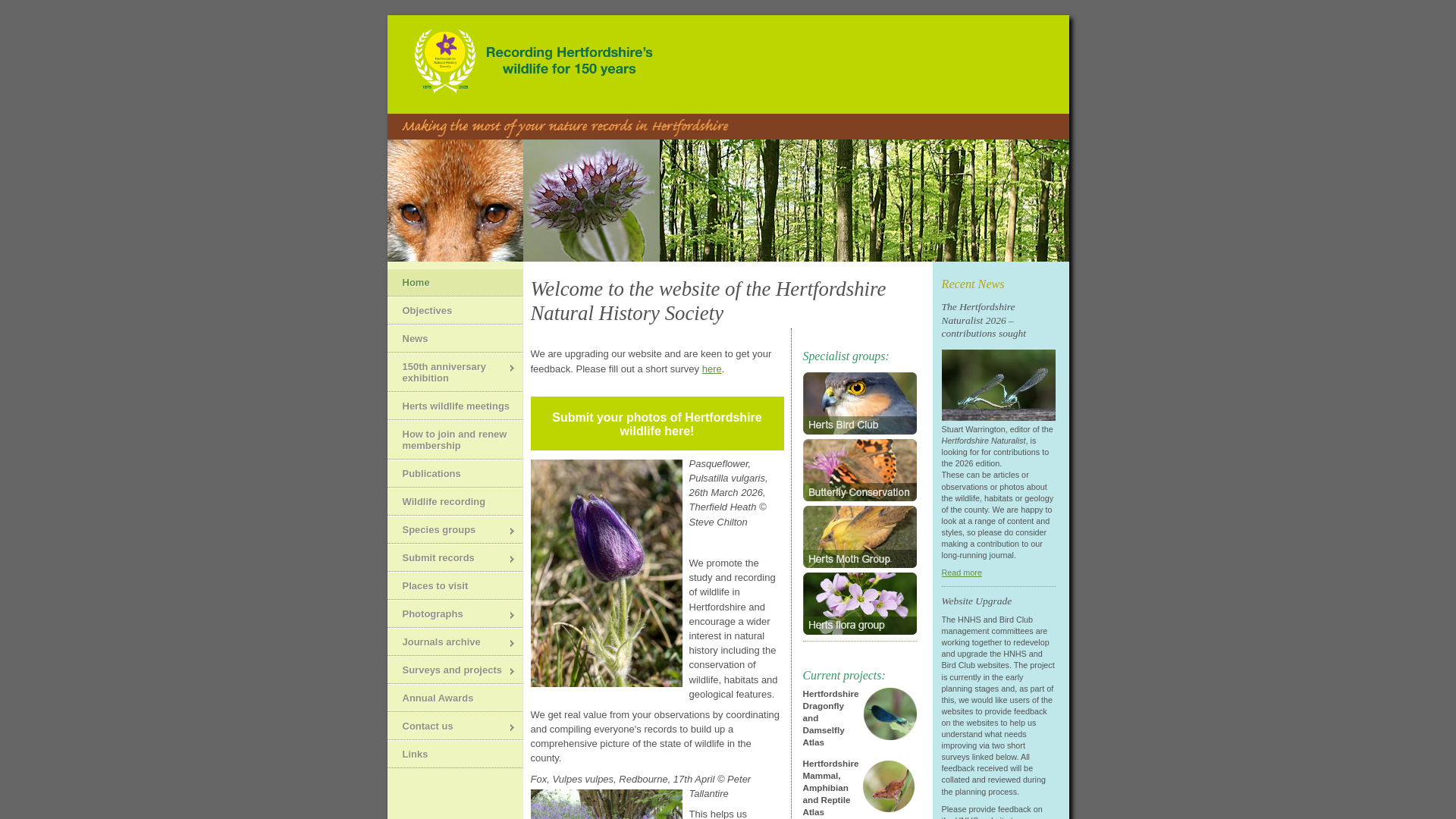 Website screenshot