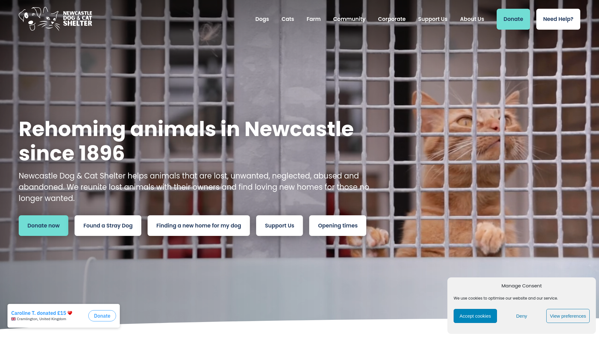 Website screenshot