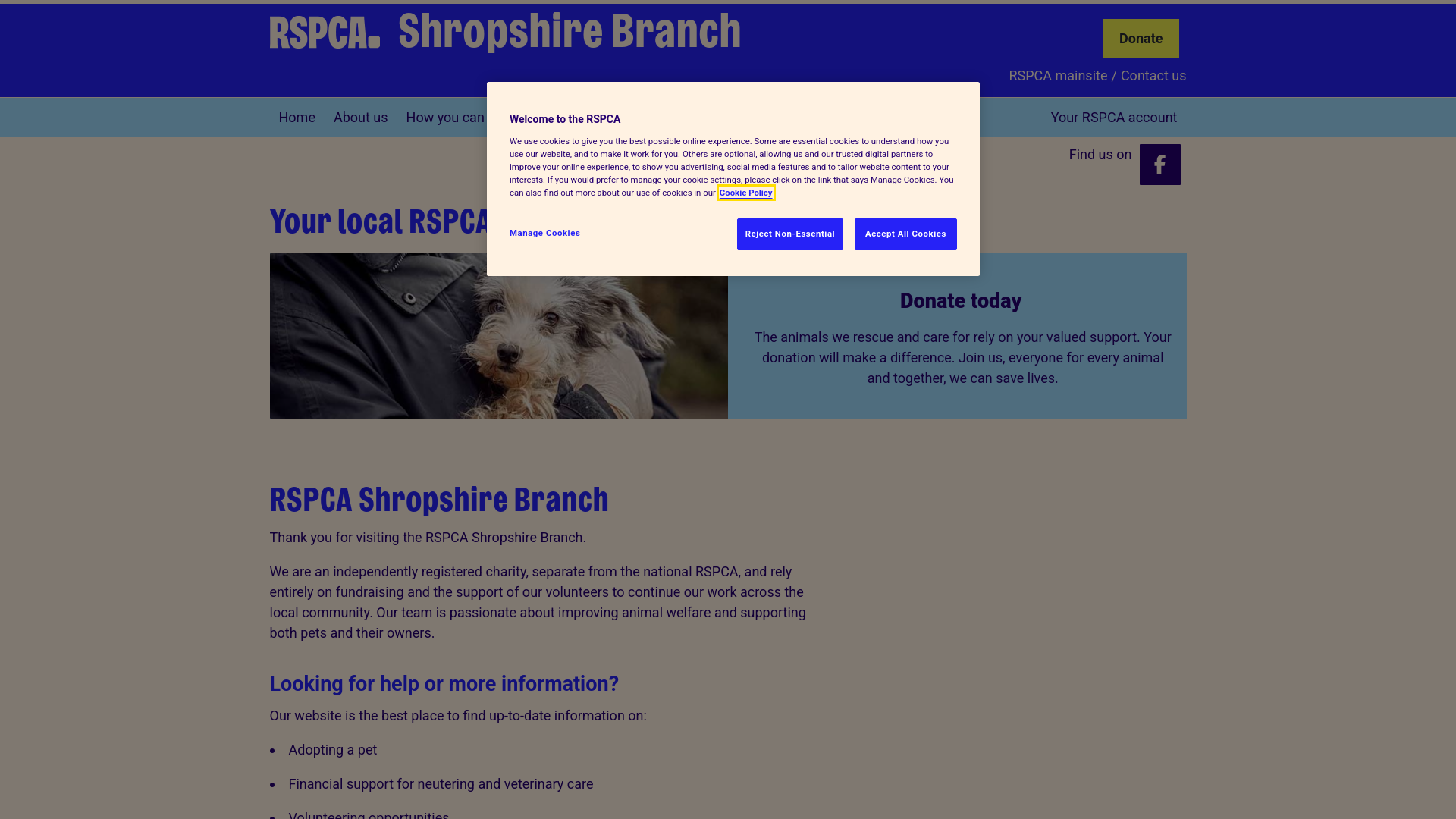 Website screenshot