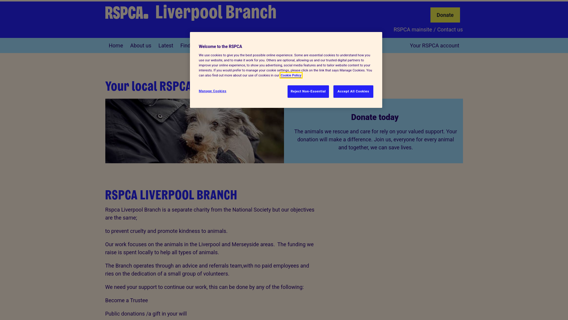 Website screenshot