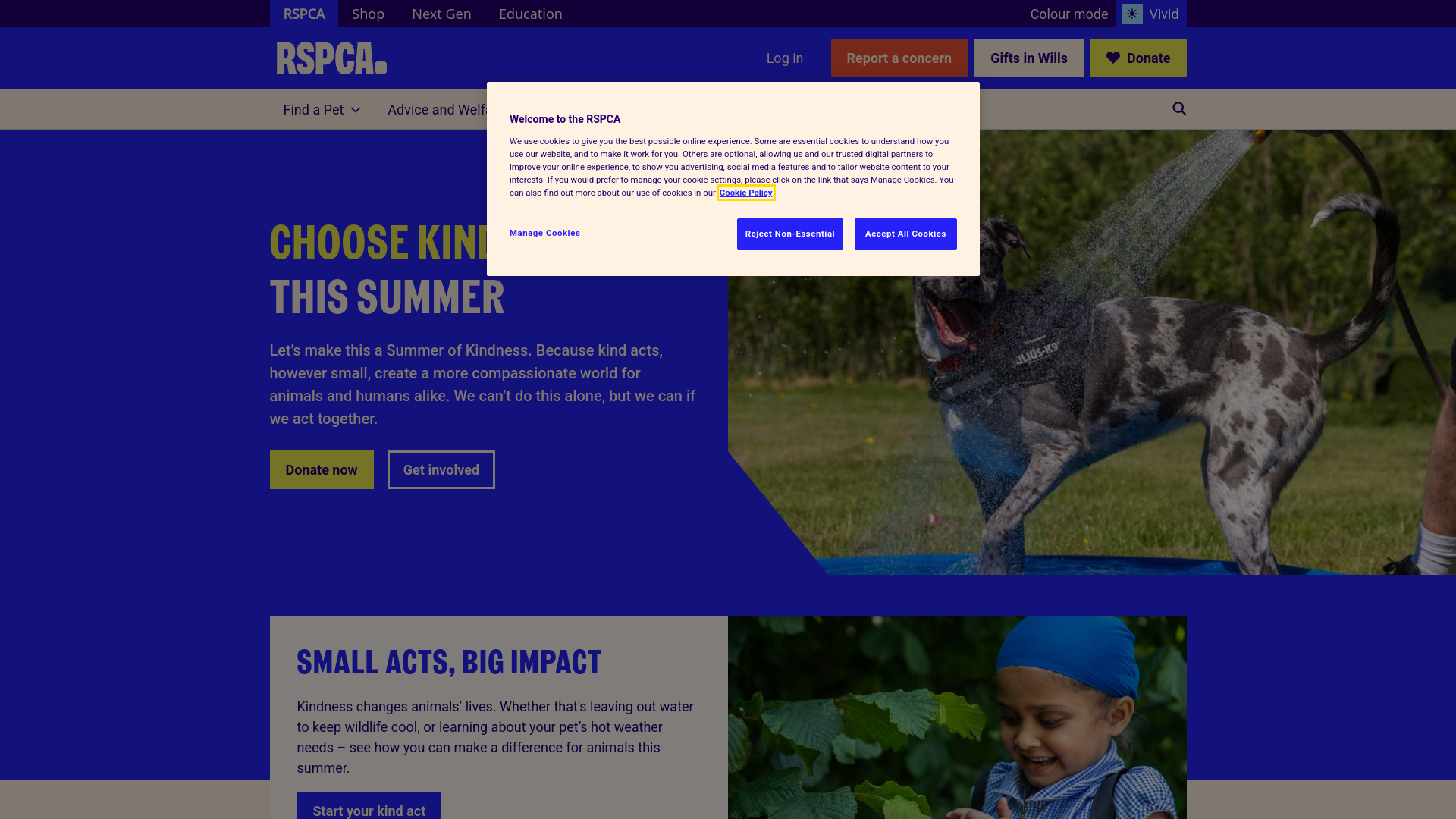 Website screenshot
