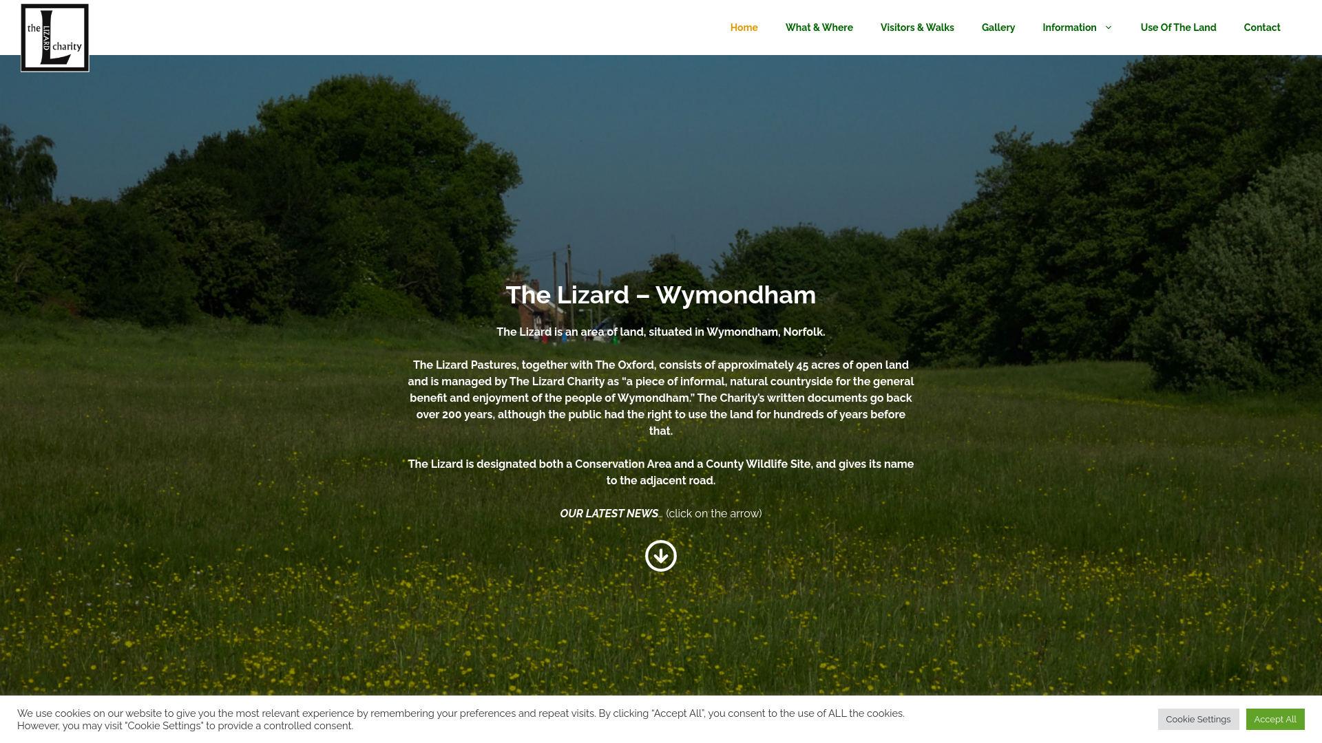 Website screenshot