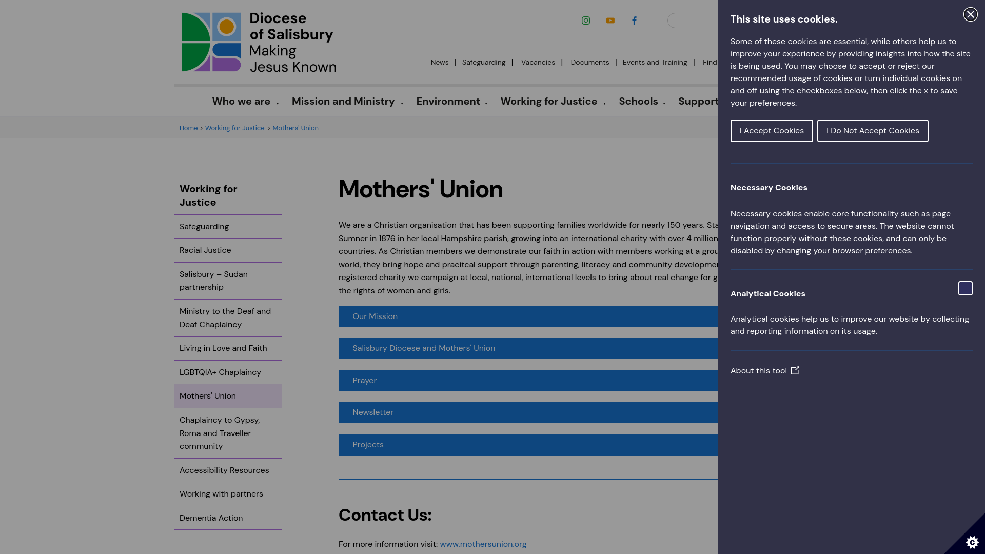 Website screenshot