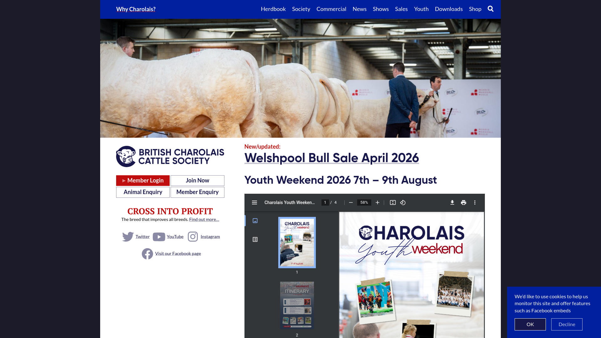 Website screenshot