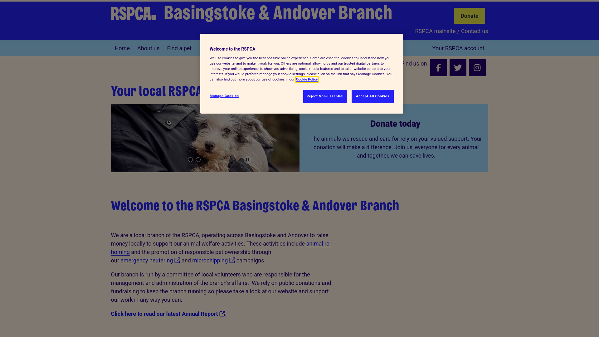 Website screenshot