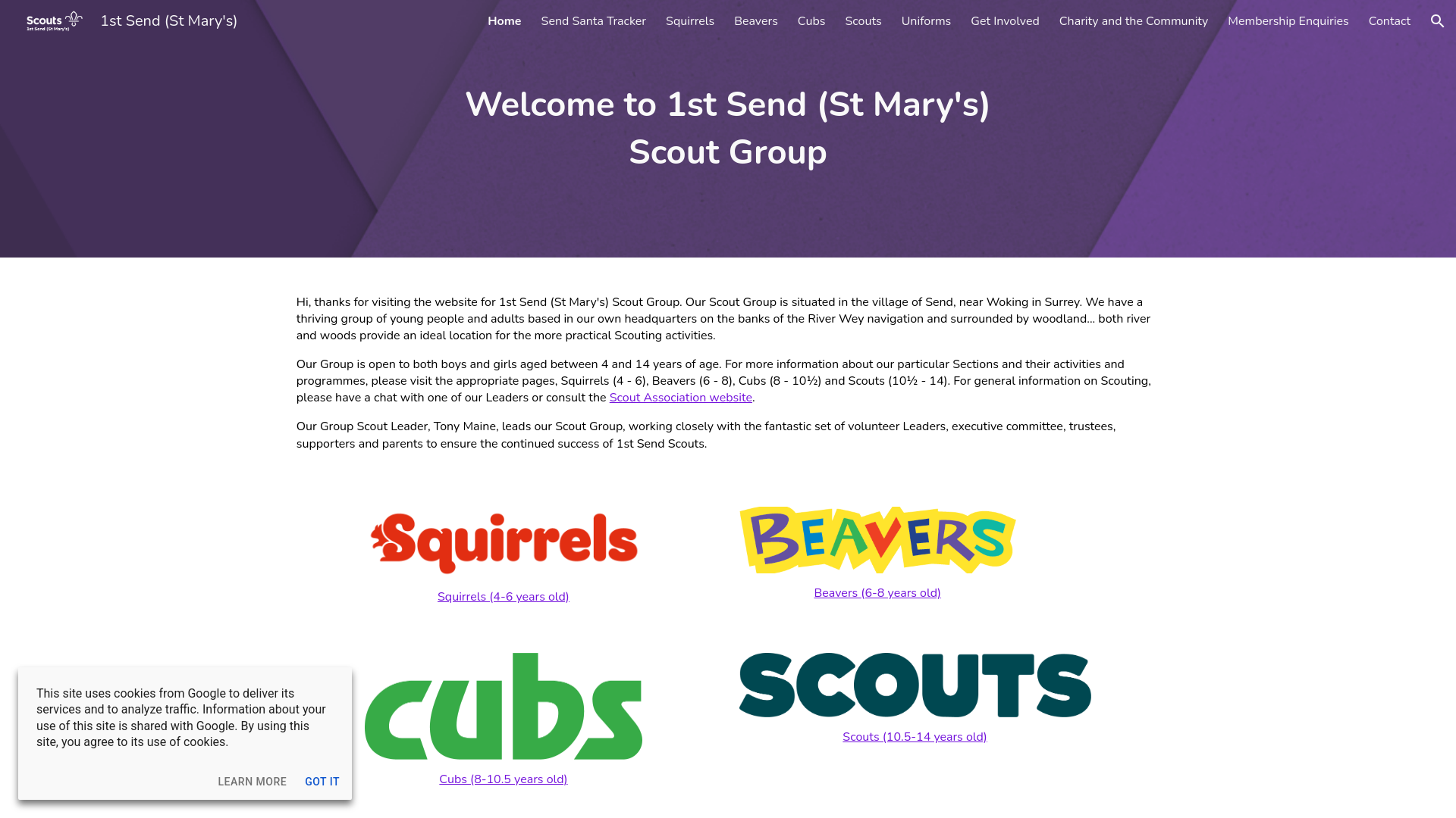 Website screenshot