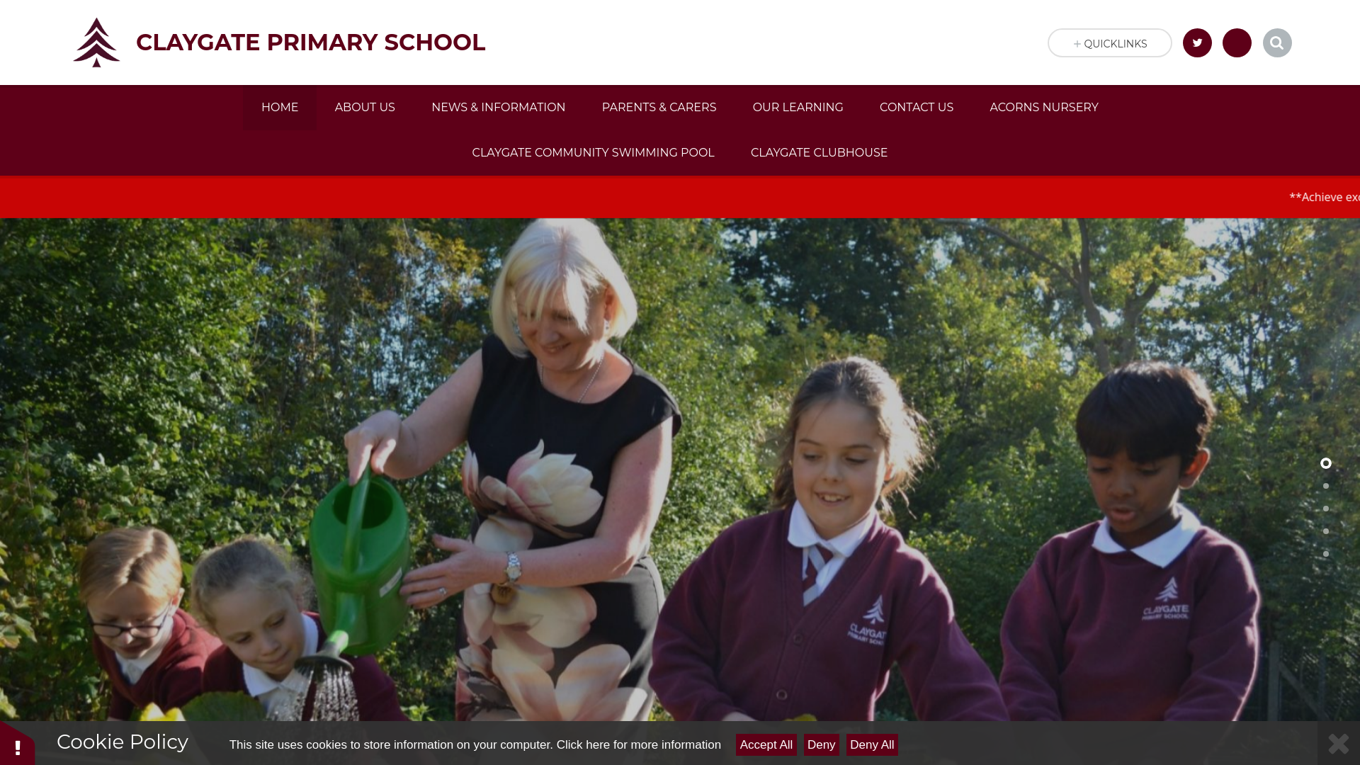 Website screenshot