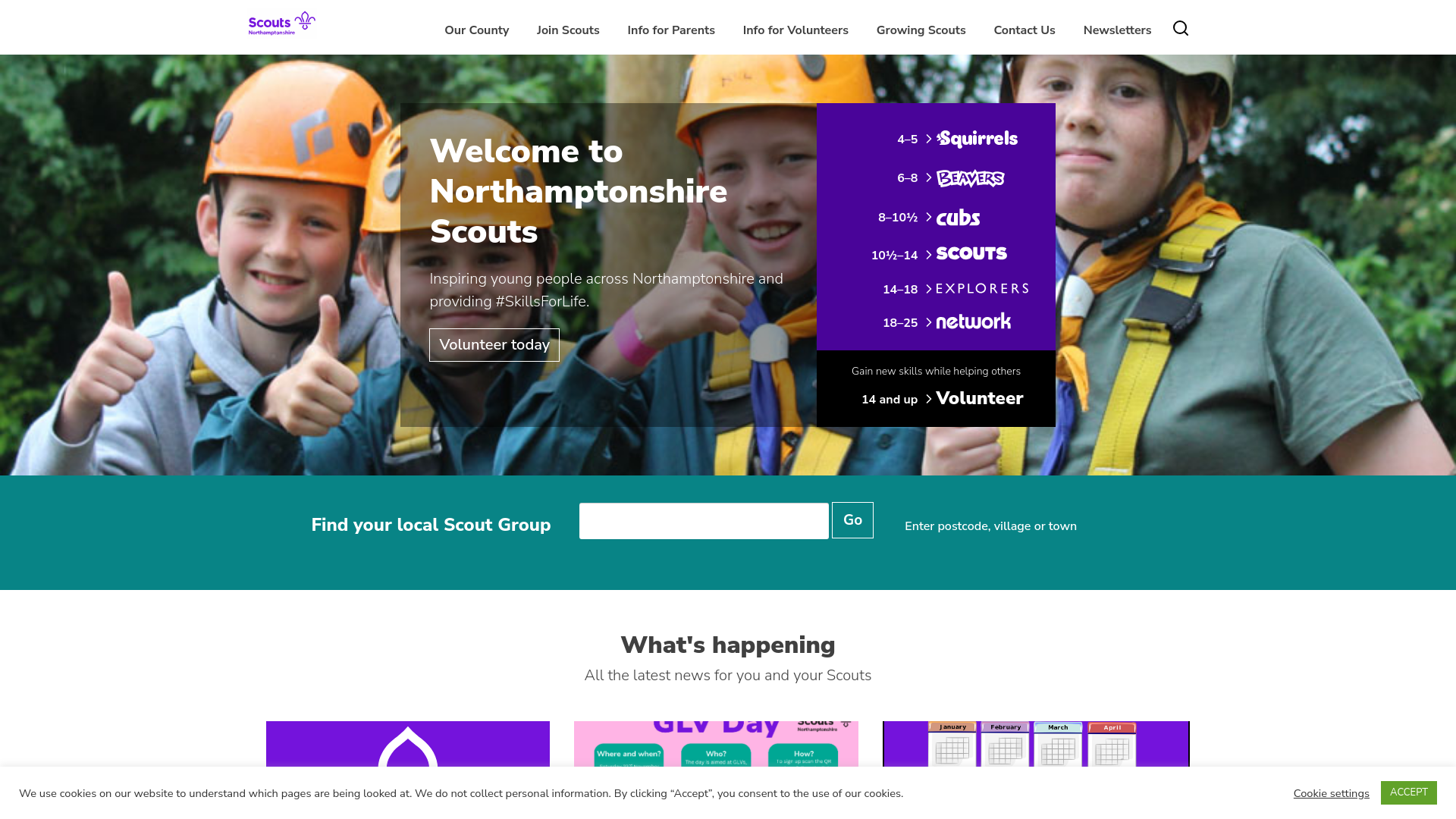 Website screenshot