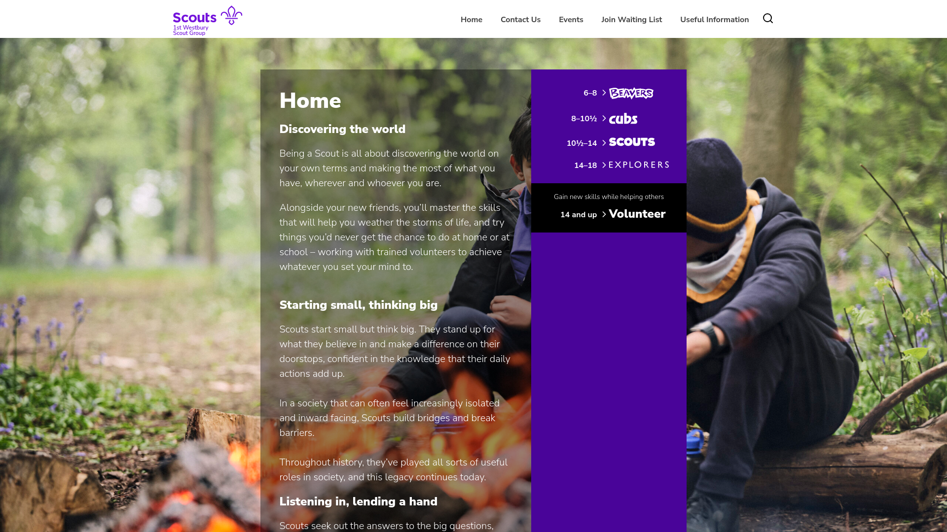 Website screenshot