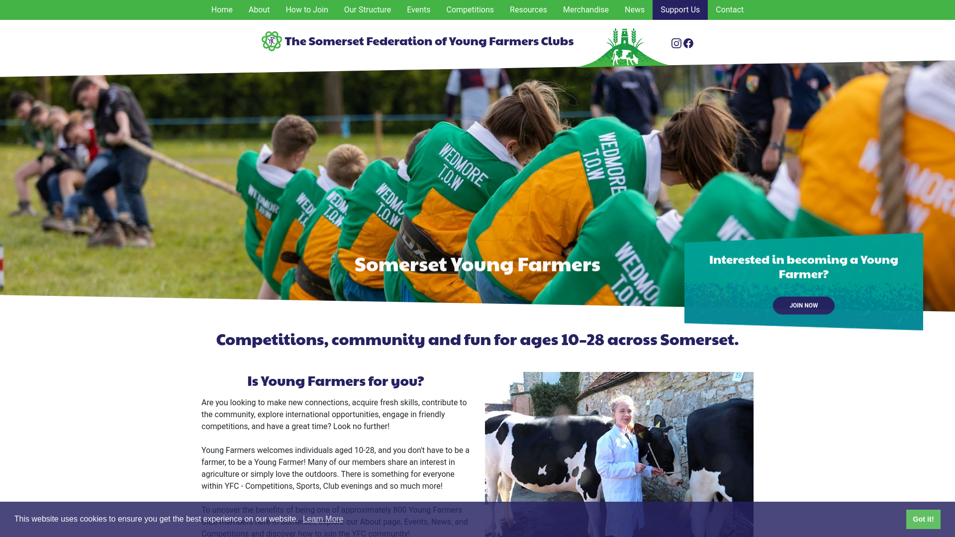 Website screenshot