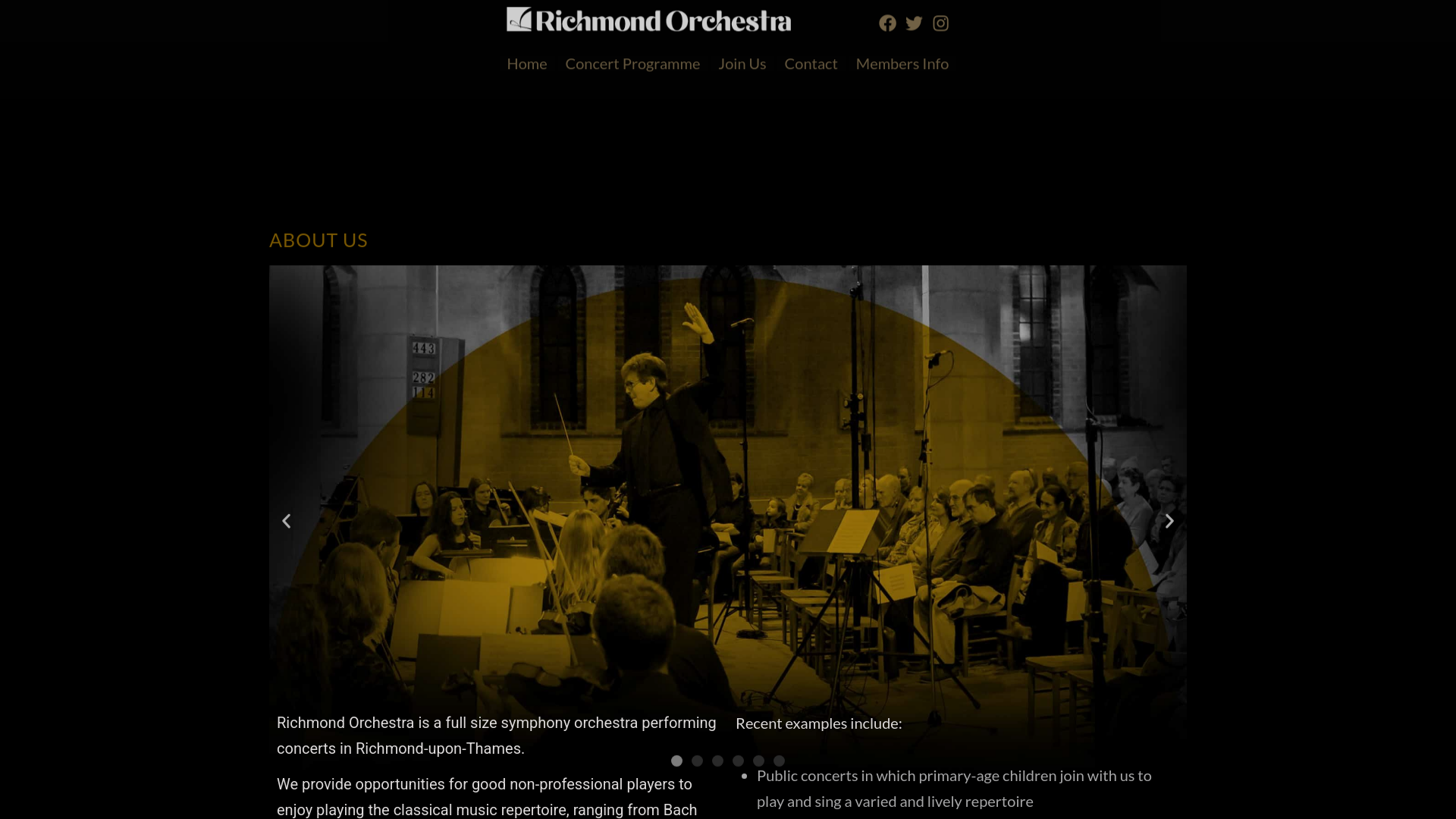 Website screenshot