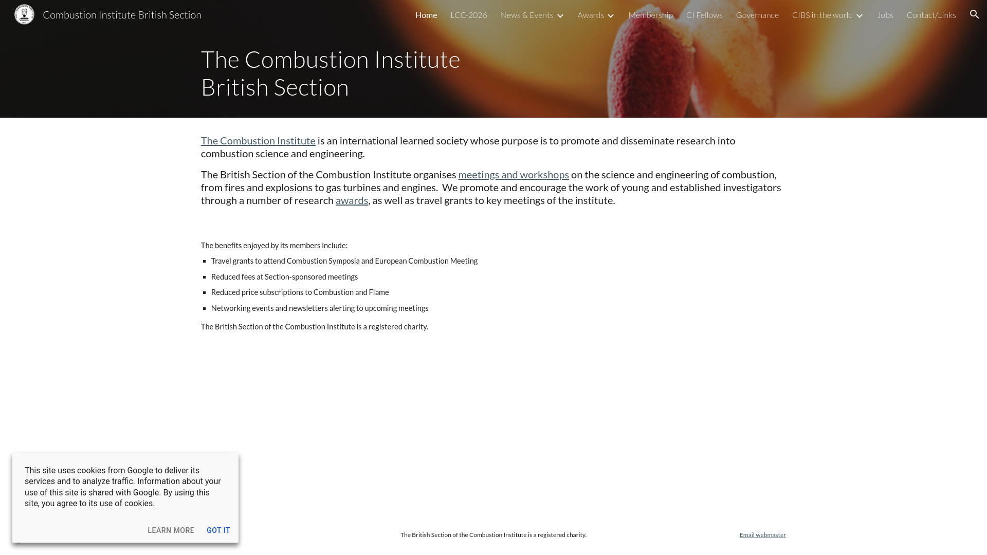 Website screenshot