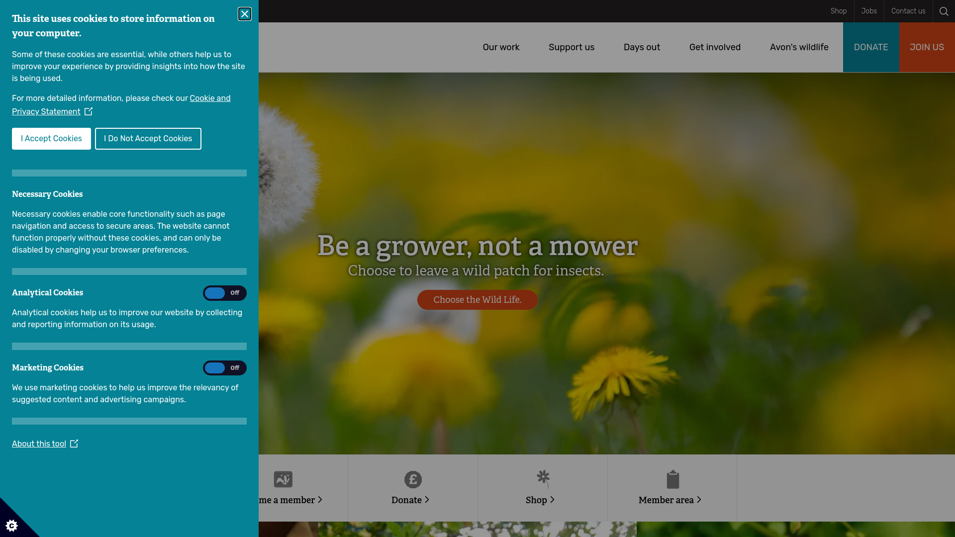 Website screenshot