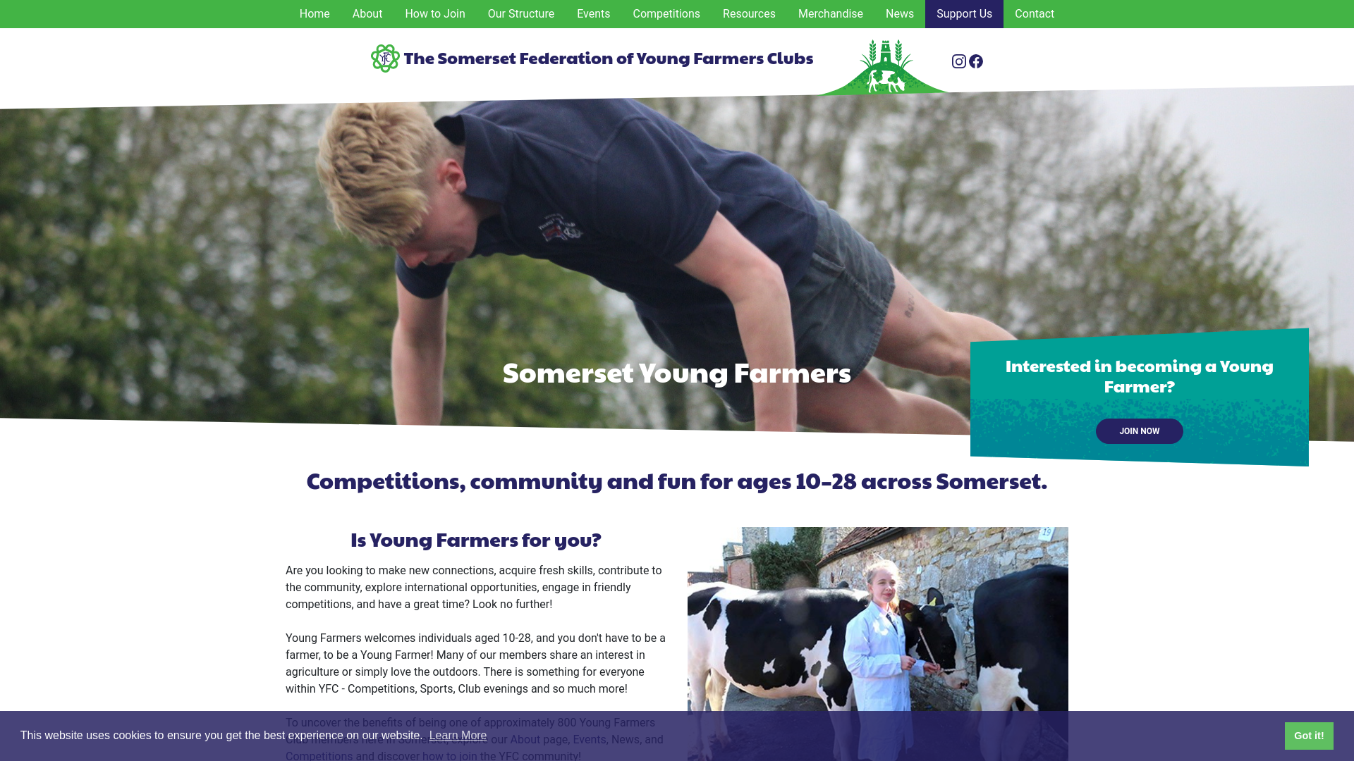 Website screenshot