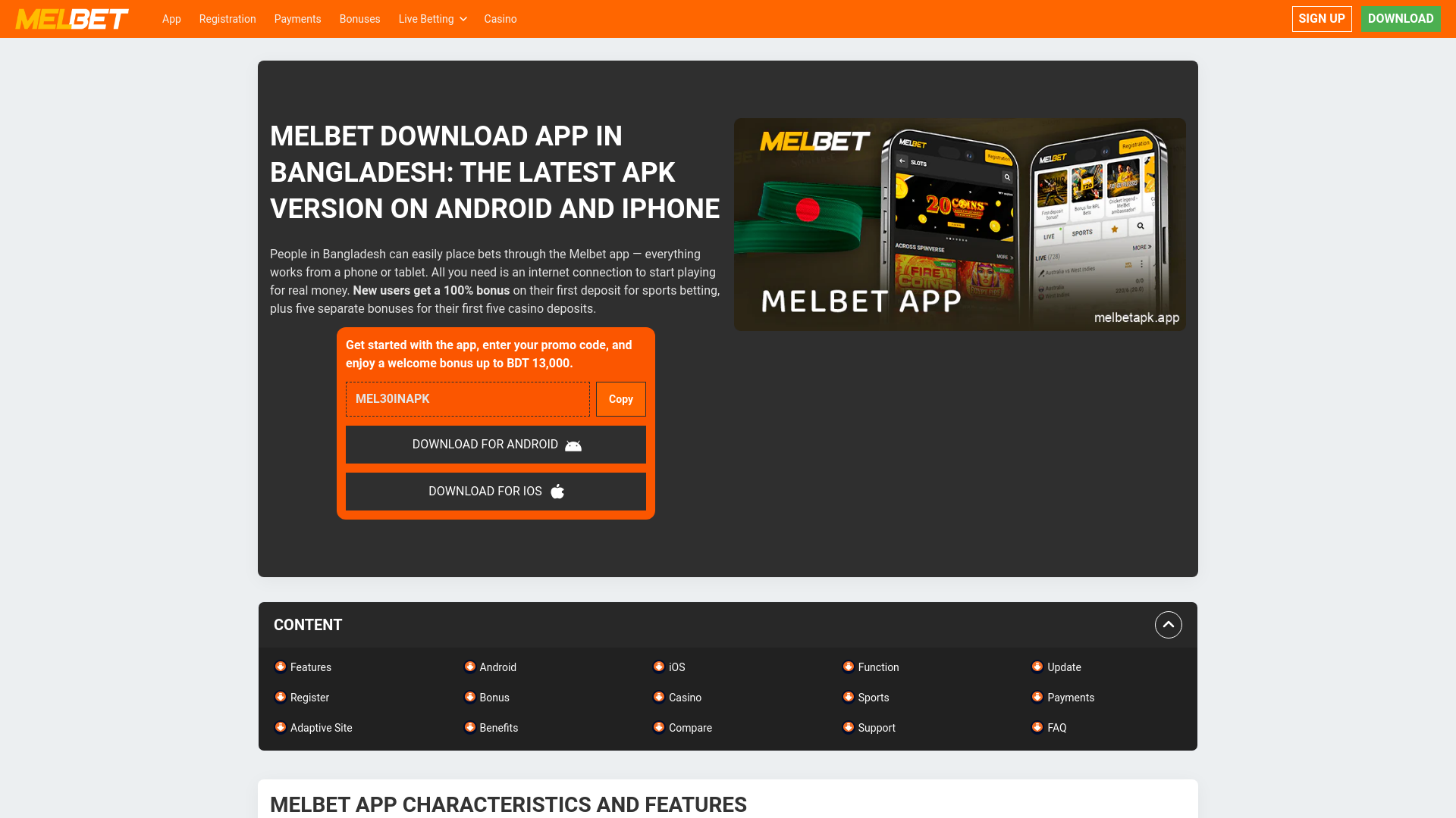 Website screenshot