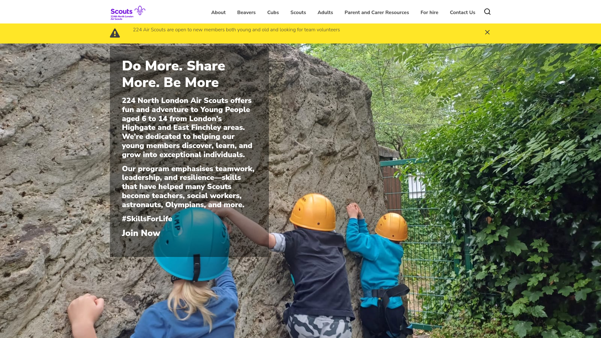 Website screenshot