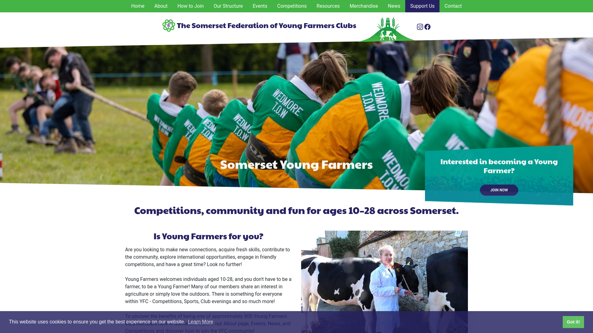 Website screenshot