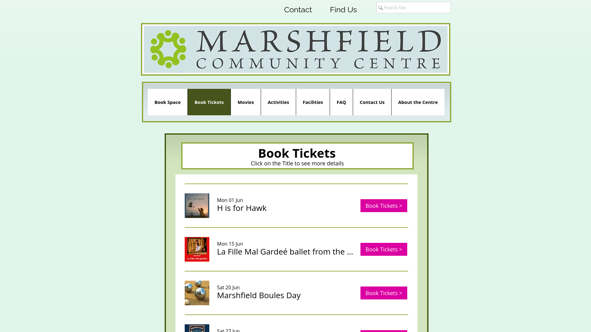 Website screenshot
