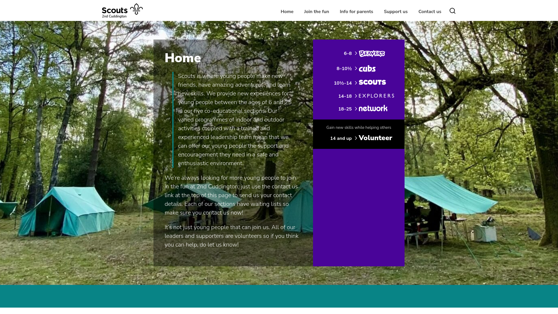 Website screenshot