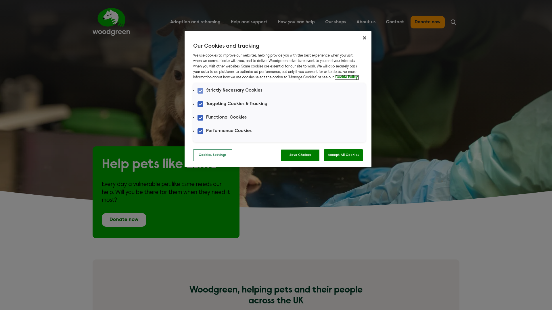Website screenshot