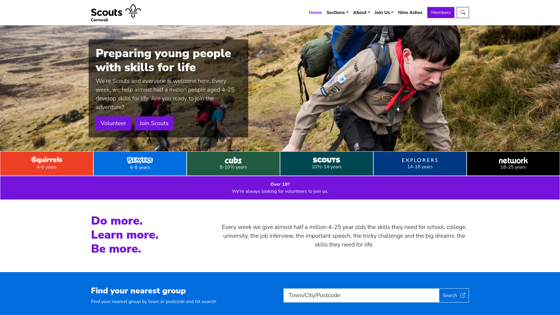 Website screenshot