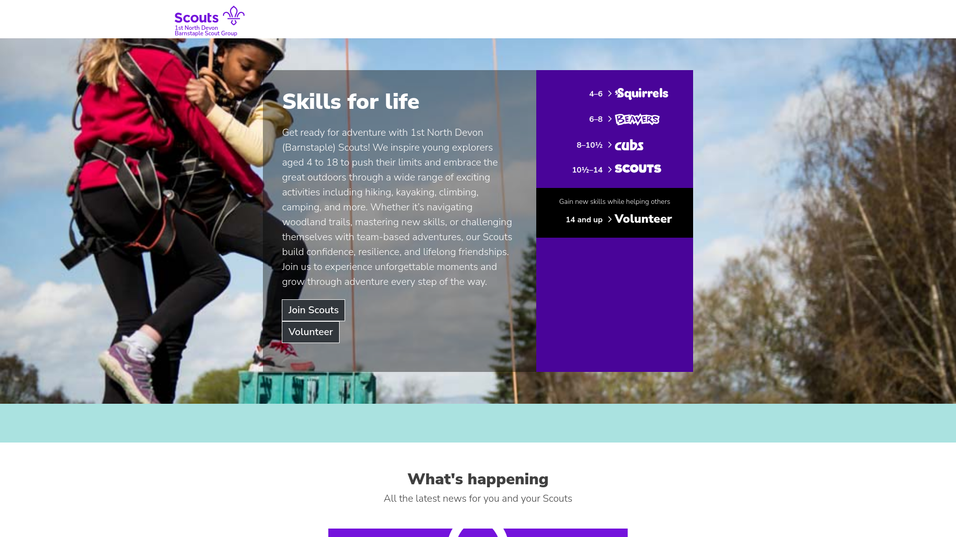 Website screenshot
