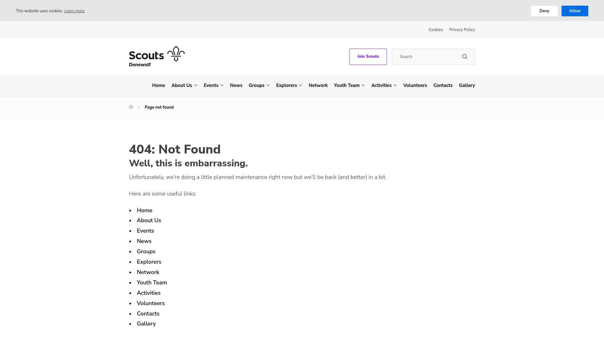Website screenshot