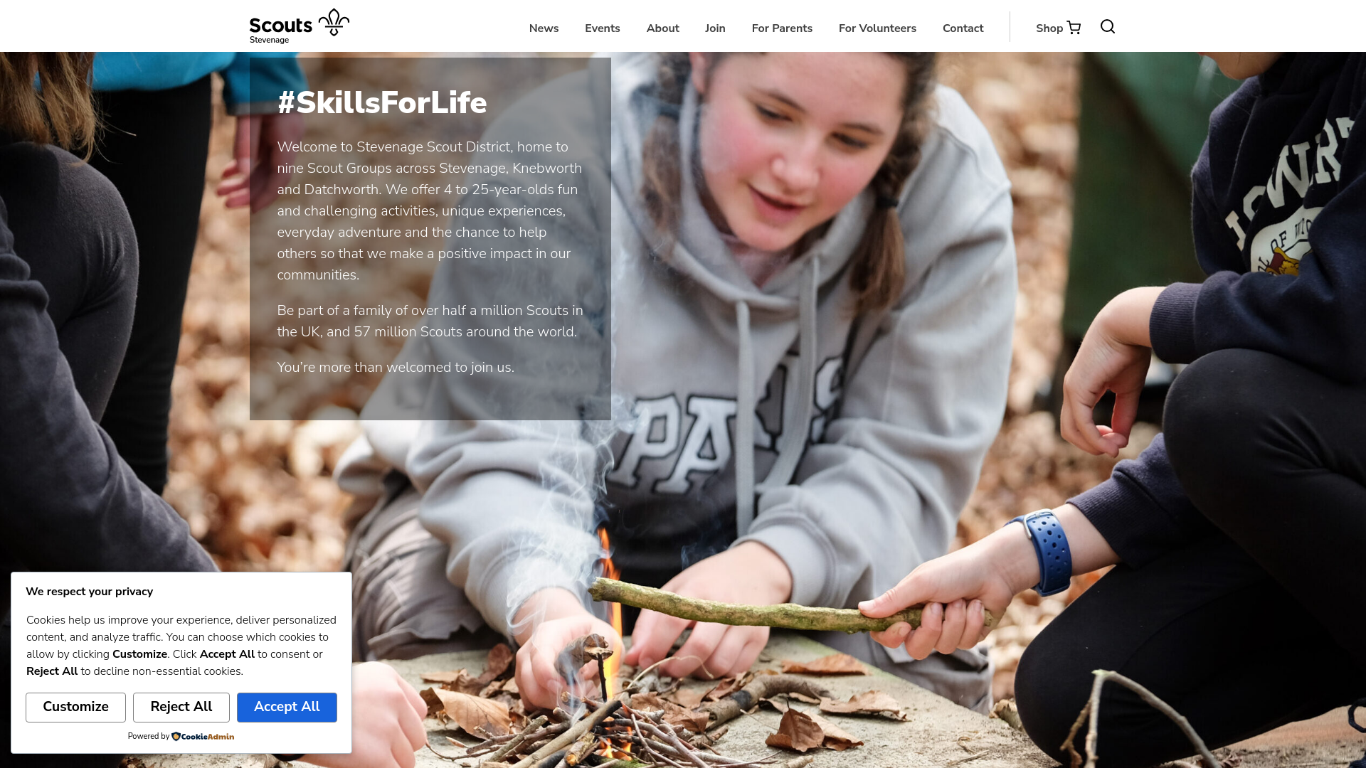 Website screenshot