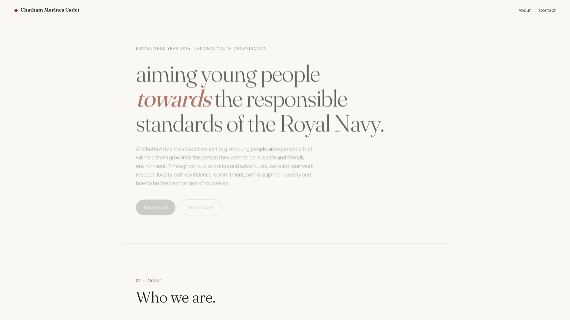 Website screenshot