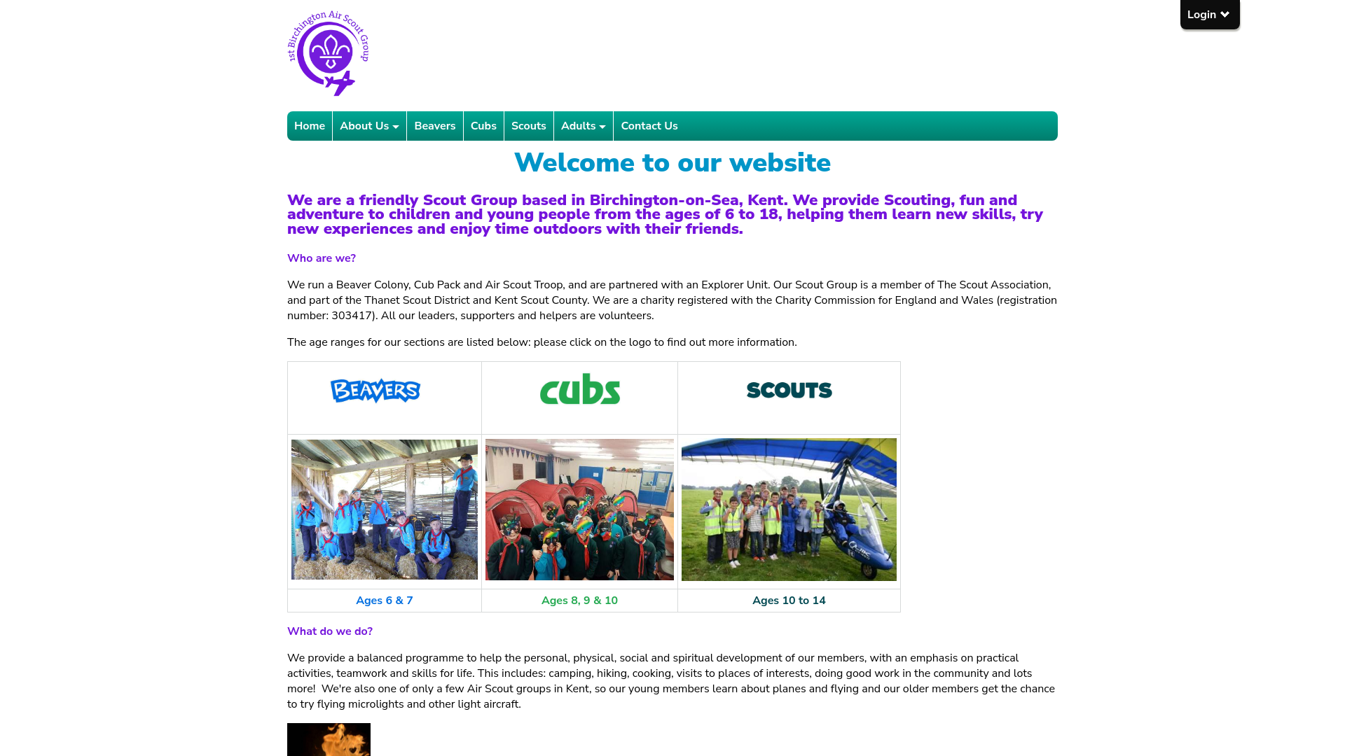 Website screenshot