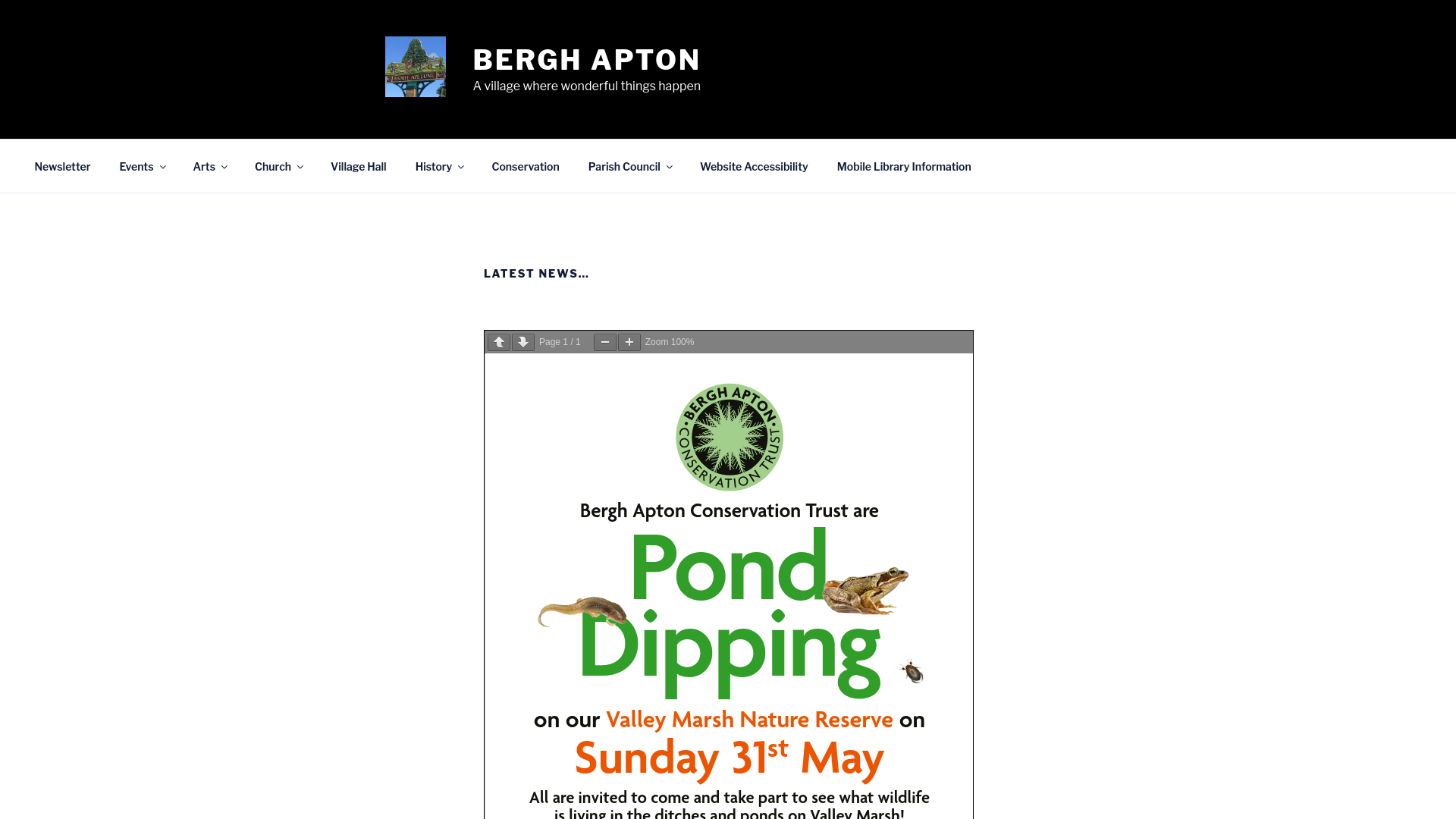 Website screenshot