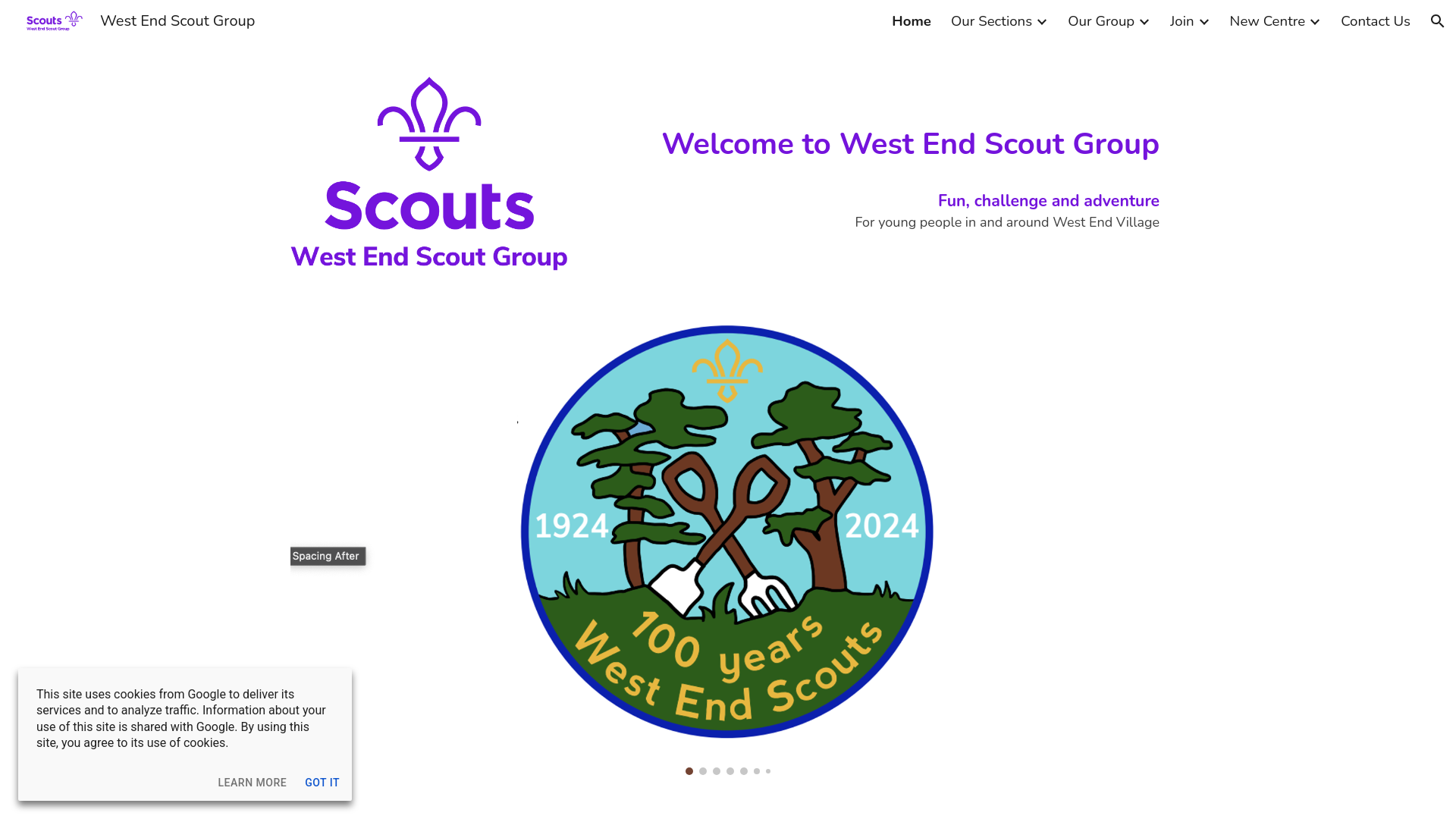 Website screenshot