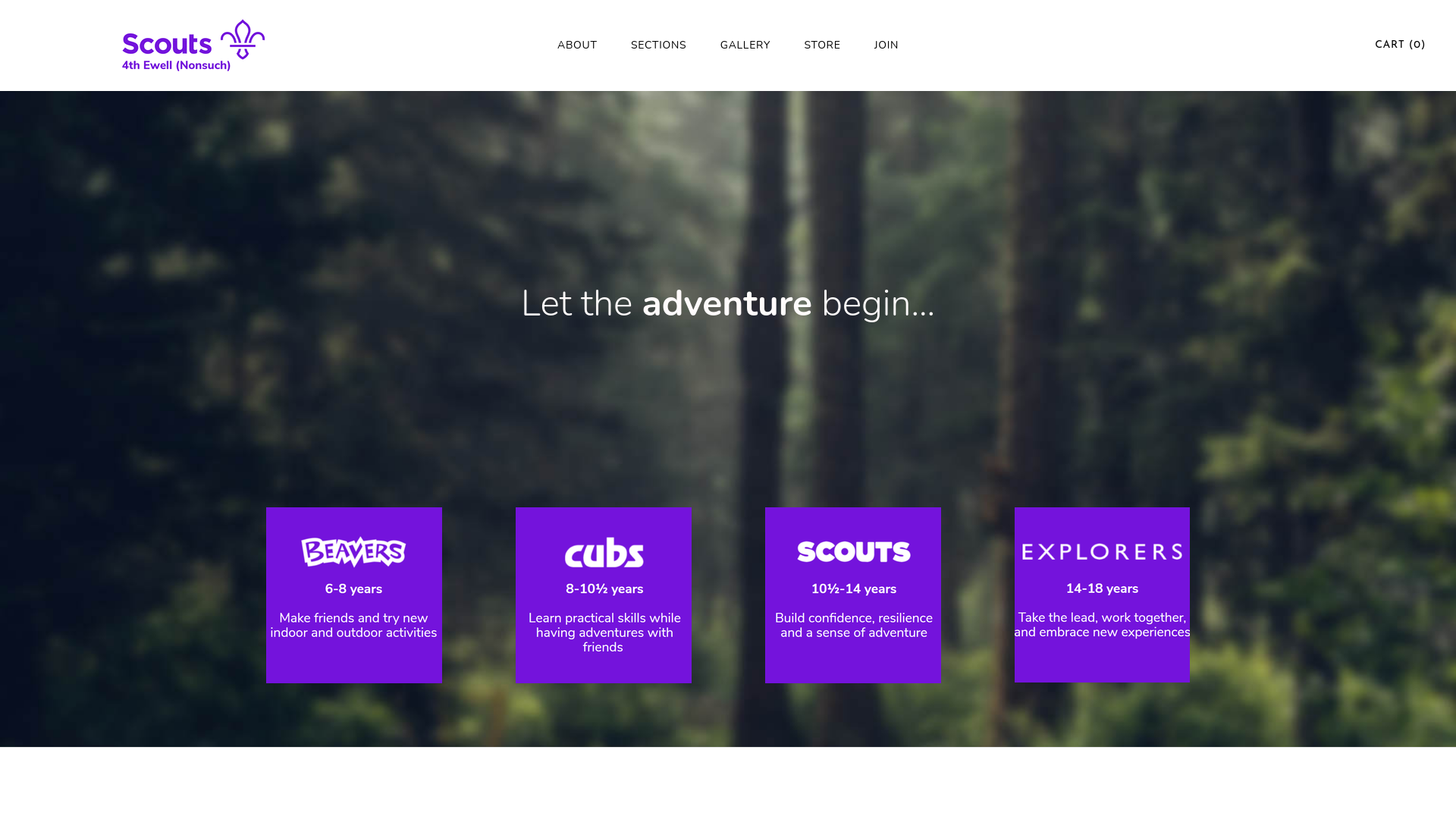Website screenshot