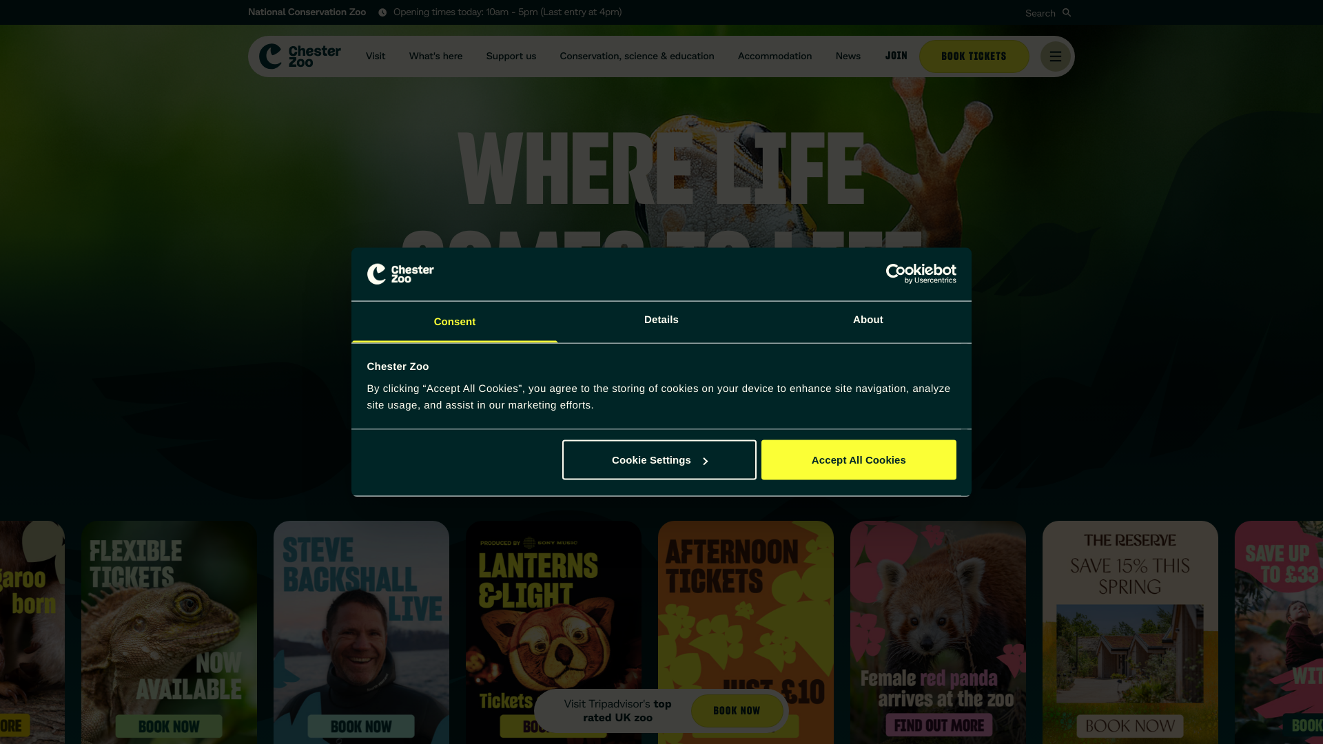 Website screenshot