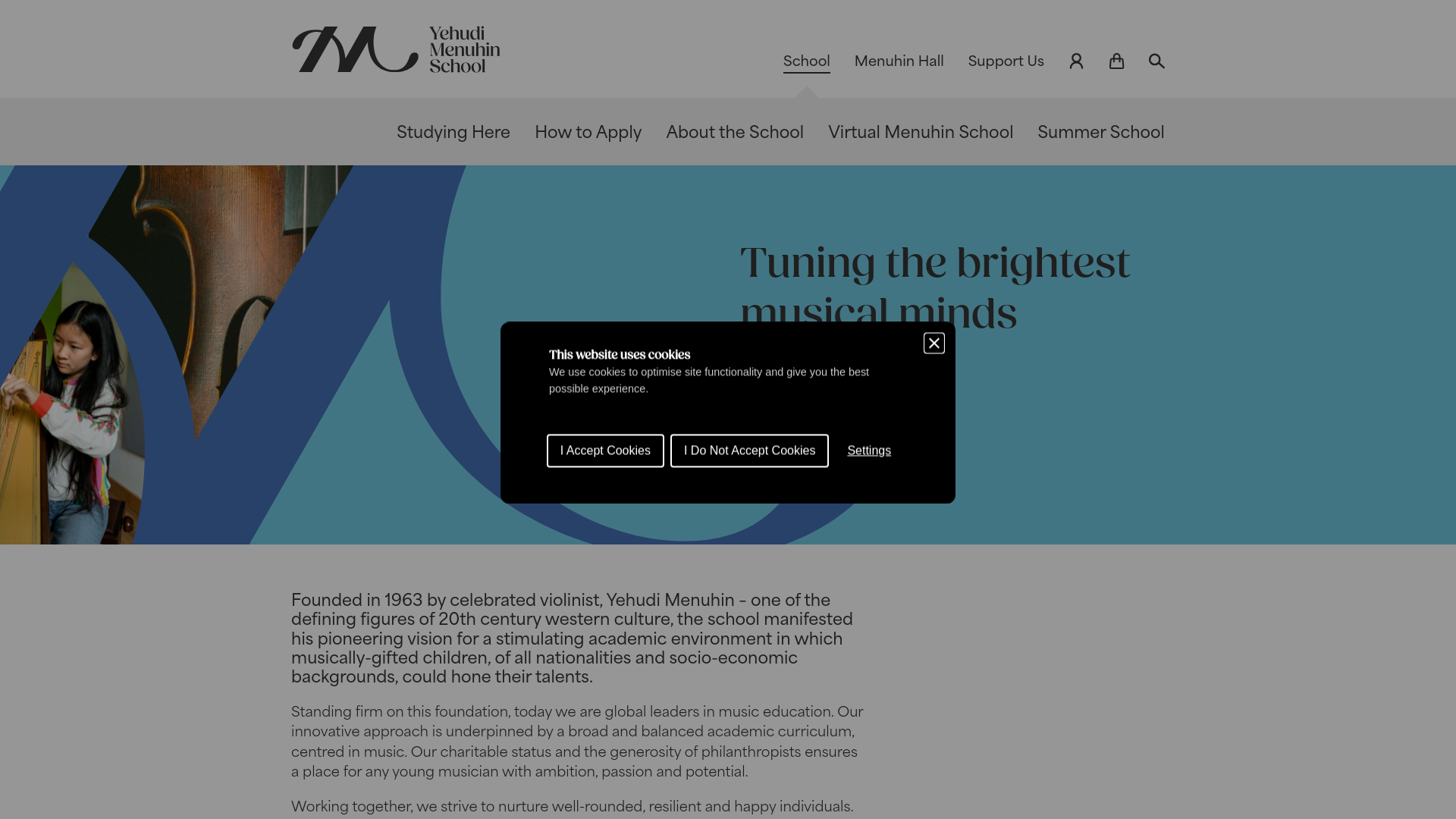 Website screenshot