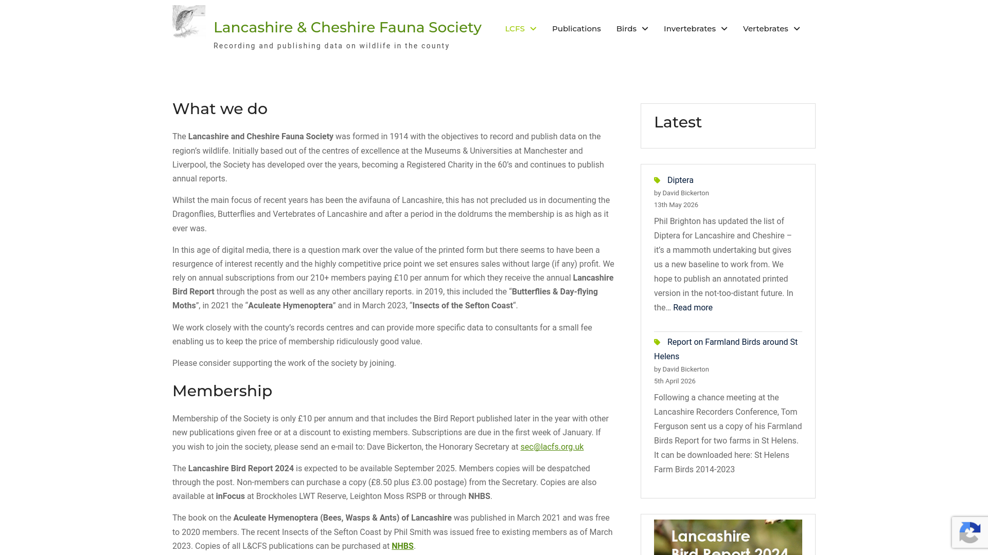 Website screenshot