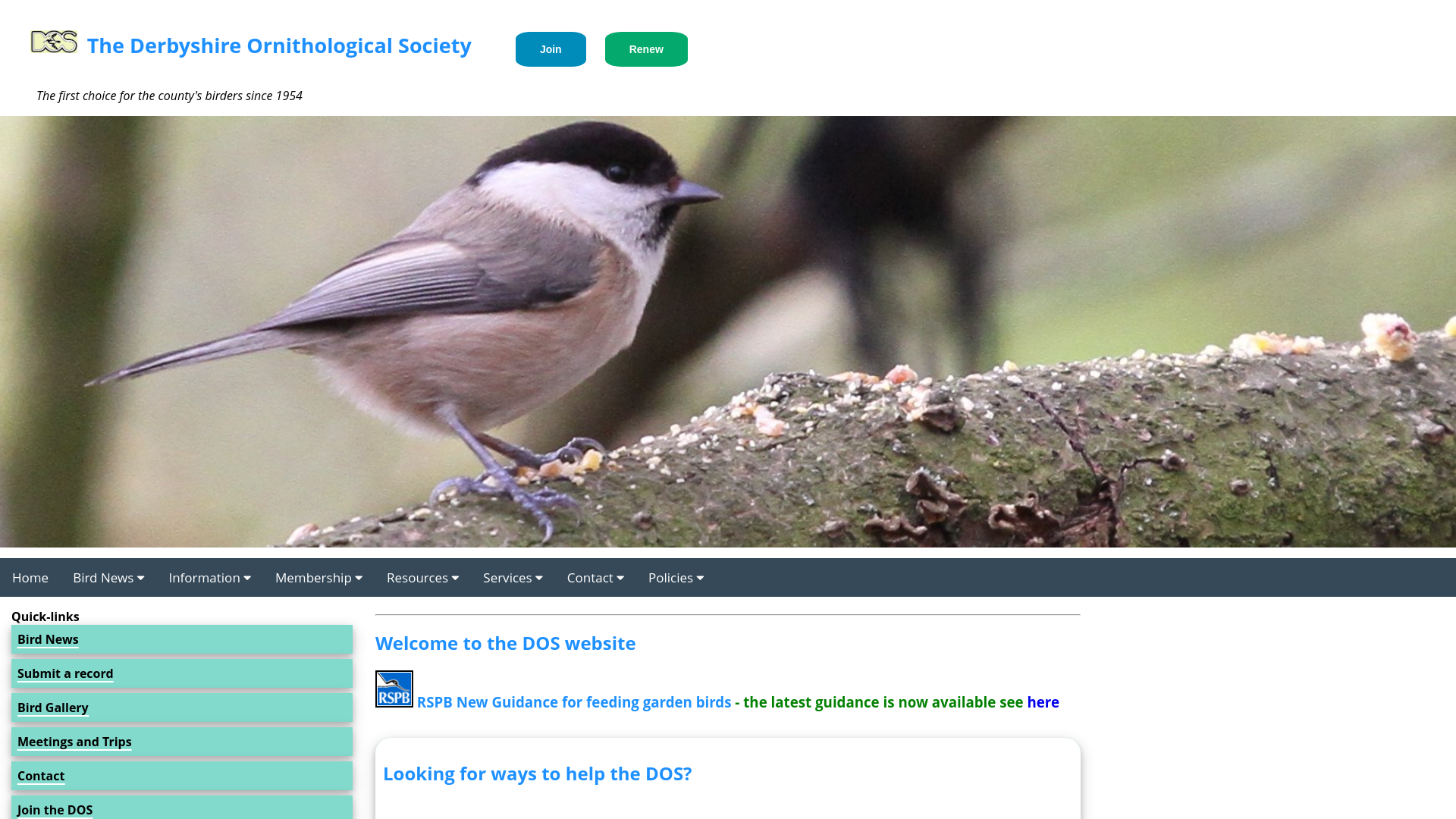 Website screenshot