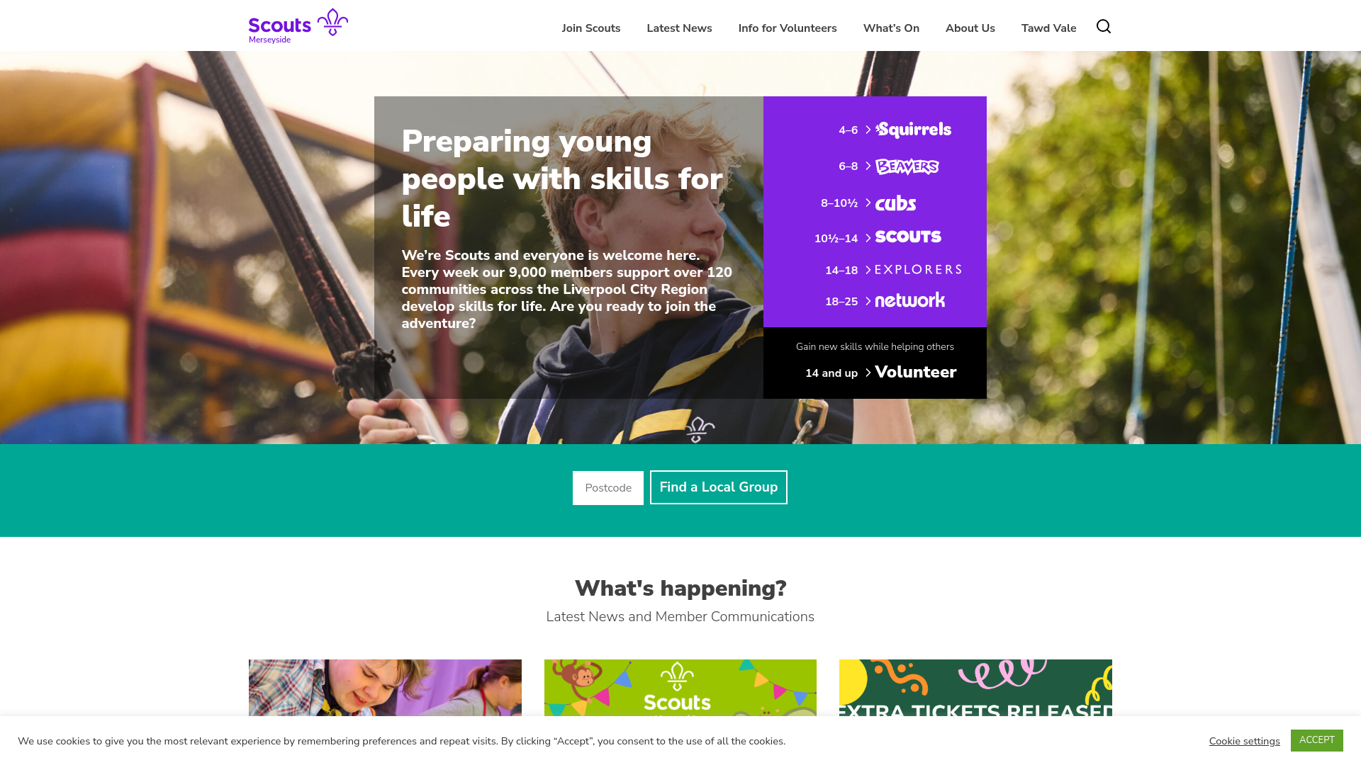 Website screenshot