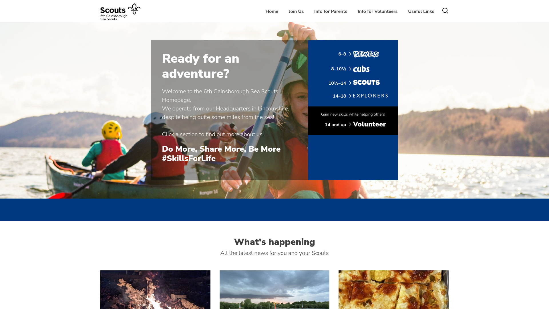 Website screenshot