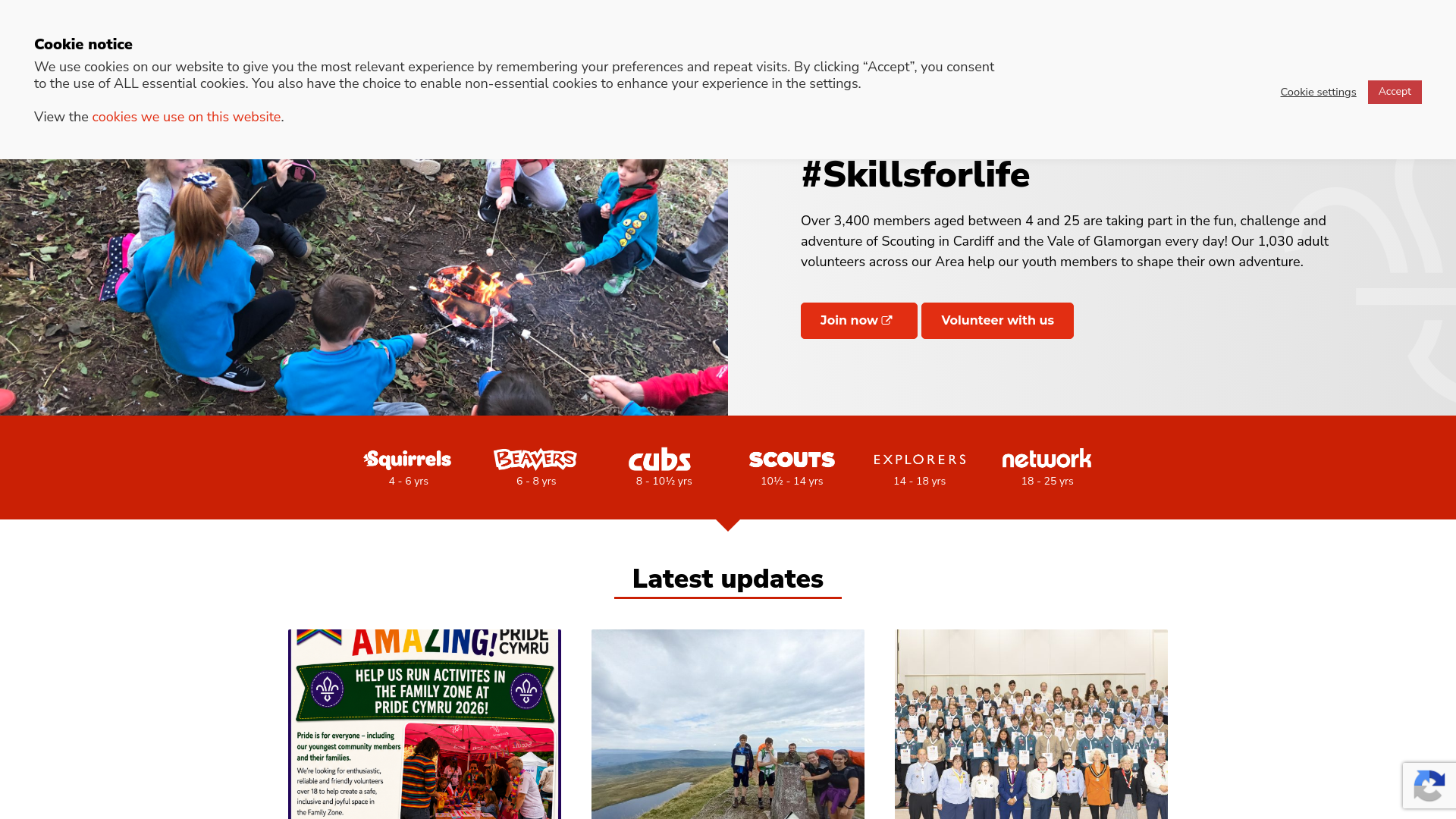 Website screenshot
