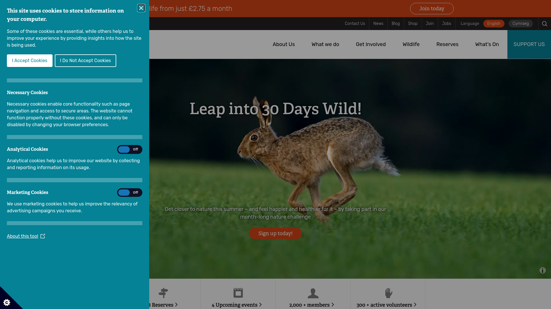 Website screenshot